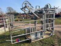 IAE cattle crush, front and rear winches for foot trimming, excellent condition - 4