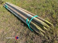 10 x 2.1m x 60mm treated fencing posts - 3