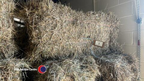 20x Conventional bales of hay July 24, collect from York Auction Centre