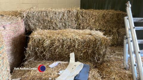 25x small bales of 2024 hay, collect from York Auction Centre