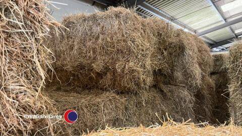 5x mini Heston meadow bales of hay 2024 season. Collect from York Auction Centre