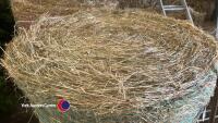 4x 4ft round bales of hay - 2