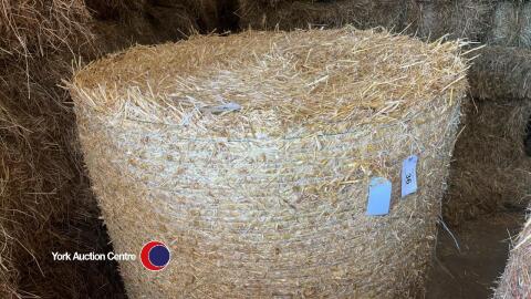 24x Round bales of 2024 Barley straw, collection from LS24 8ET