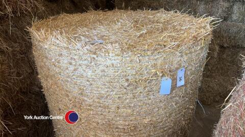 24x Round bales of 2024 Barley straw, collection from LS24 8ET