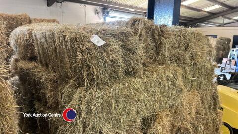 40x small hay bales, collect from York Auction Centre