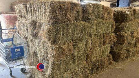 40x small hay bales, collect from York Auction Centre