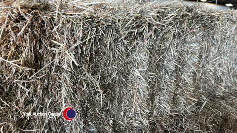 50x small bales of hay. Collection from YO41 1JY