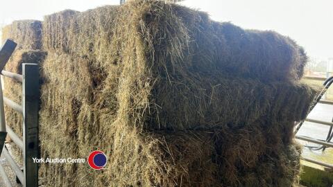 40x small hay bales, collect from York Auction Centre
