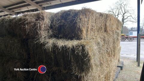 40x small hay bales, collect from York Auction Centre