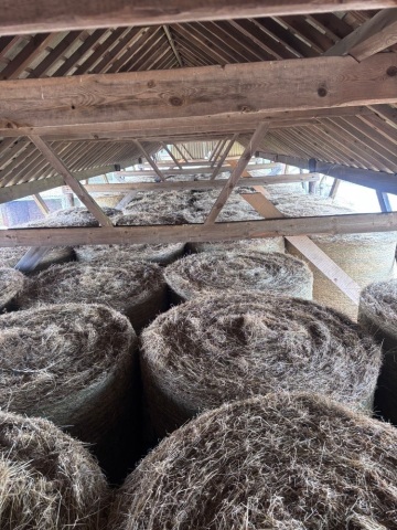 100 x 4.5ft round bales 2024 meadow hay, ideal for cattle/sheep/bedding, viewing welcome, wagon access, loading anytime, Collection from YO8 5SW