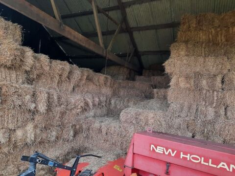 50x Conventional bale hay, collect from East Cottingwith YO42