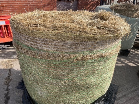 10 x 4ft 6ins round bales haylage, top quality equine haylage with no weeds or fertilizer. Collection from