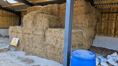 30x Square bales of 2024 hay, collection from LS25 6HJ
