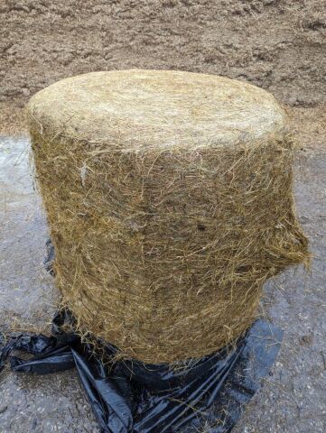20x round baled dry silage, chopped and triple wrapped, collection from YO30 2AY