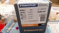 Rawl plugs with screws x 2 boxes - 3