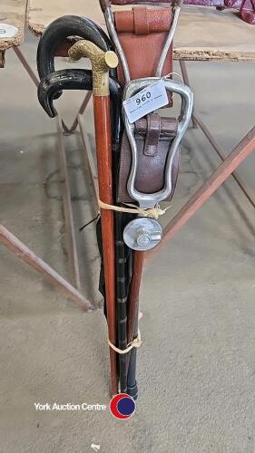 Shooting stick & canes