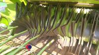 Claas Rollant 255 Roto Cut round baler, control box in office - 3