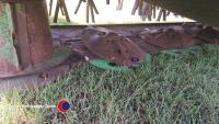 John Deere 1360 trailed mower conditioner - 3