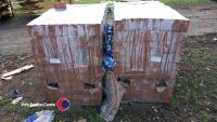 2 x pallets of Ibstock Ivanhoe Old Village bricks, 430 per pallet - 2