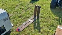 Pair of pallet tines