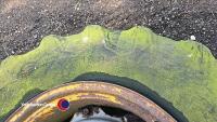 Tractor wheel, 16.9 x 28 , was on a Massey Ferguson 50B - 3
