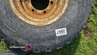12.5-80-15.3 wheel 6 stud - 3