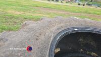 2 x Firestone 650/65/42 tyres - 3