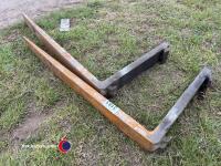 Set of tines - 3