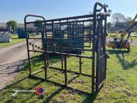 Taylor cattle crush (old)