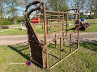 Taylor cattle crush (old) - 2