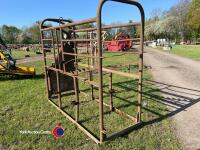 Taylor cattle crush (old) - 3