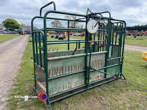 Tubar cattle weigh crush, gwo