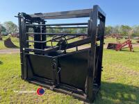 Cattle crush - 4
