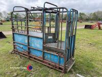 Cattle crush - 2