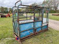 Cattle crush - 3