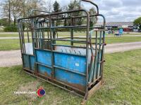 Cattle crush - 4