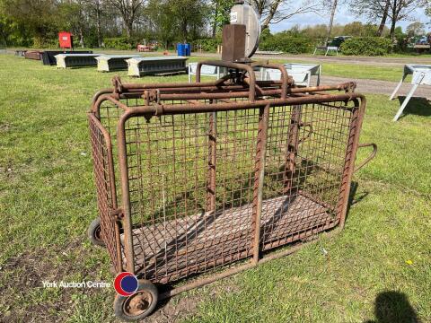 Sheep/pig weigh