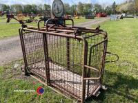 Sheep/pig weigh - 2