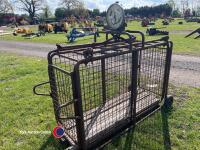 Sheep/pig weigh - 3