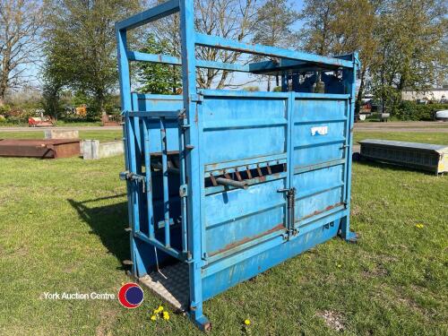 Painted, spring operated, variable neck width cattle crush with chequer plate floor
