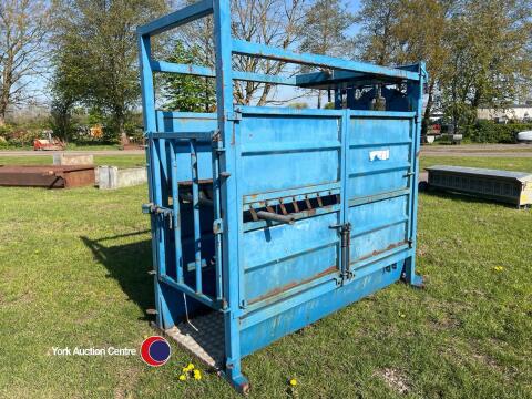Painted, spring operated, variable neck width cattle crush with chequer plate floor
