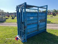 Painted, spring operated, variable neck width cattle crush with chequer plate floor - 3