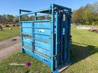 Painted, spring operated, variable neck width cattle crush with chequer plate floor - 4
