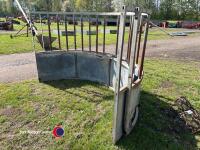 Cattle ring feeder - 3