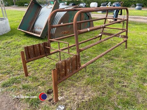 Pig farrow crate