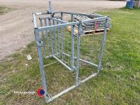 Ritchie sheep race shedding divider gate - 4