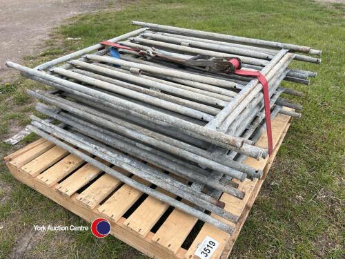 13 x calf pen fronts