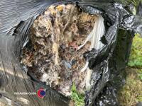 Horse menage/arena surface, baled carpet fibre, top quality - 2