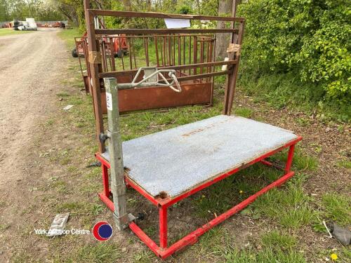 Sheep show trimming stand