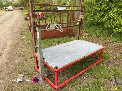 Sheep show trimming stand